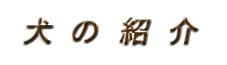 uh[Ɂ@̏ЉS